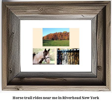 horse trail rides near me in Riverhead, New York